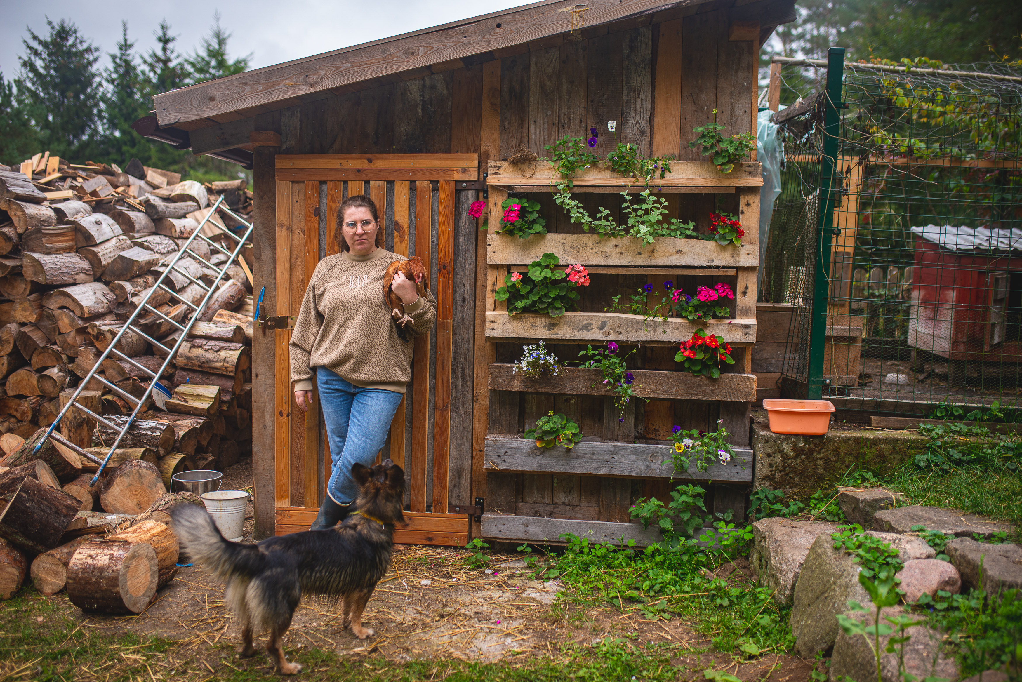 Ciekawostki o kurach, z których pewnie nie zdawałaś sobie sprawy